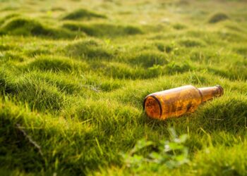 The Silent Killers: How Our Daily Habits are Destroying the Planet