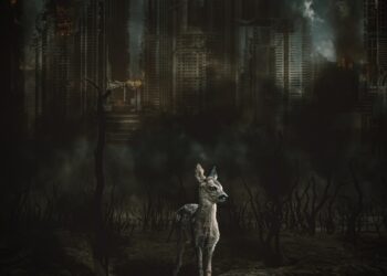 Understanding the Basics of Global Warming: A Beginner’s Guide to Climate Change