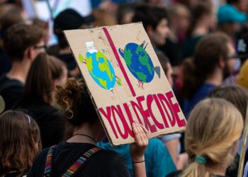 Climate Conscious Capitalism: How Businesses Can Lead the Charge in Environmental Policy