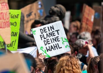 Green is the New Gold: Navigating Climate Policy for Sustainable Business Success