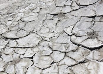 Saving Our Planet: 10 Effective Strategies to Combat Global Warming