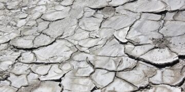 Saving Our Planet: 10 Effective Strategies to Combat Global Warming