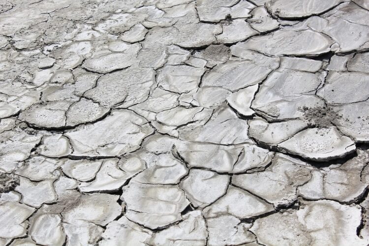 Saving Our Planet: 10 Effective Strategies to Combat Global Warming