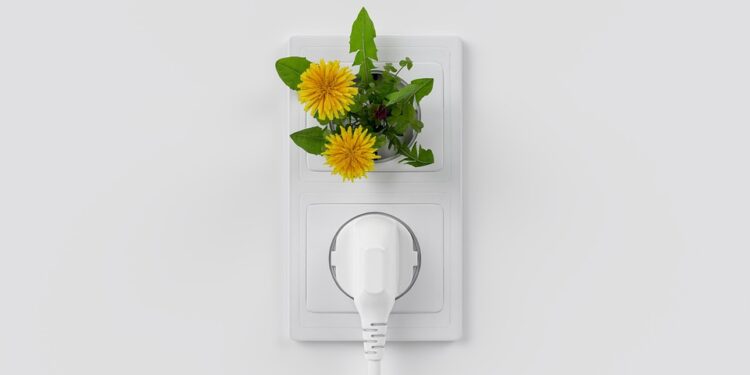 7 Simple Steps to Living Sustainably and Saving the Planet