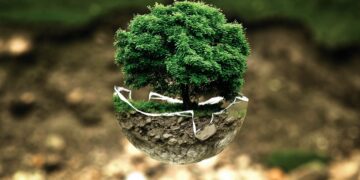 Earth’s Cry: The Devastating Effects of Human Impact on Our Environment