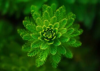 Top 10 Energy-Efficient Appliances to Save You Money and the Environment