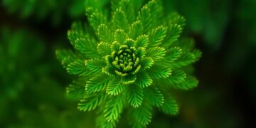 Top 10 Energy-Efficient Appliances to Save You Money and the Environment