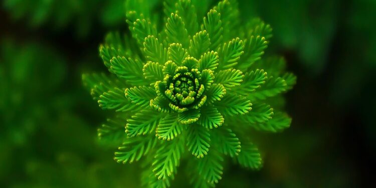 Top 10 Energy-Efficient Appliances to Save You Money and the Environment