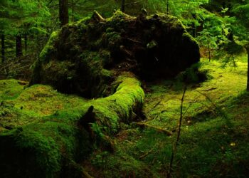 Revolutionizing the Future: Top Green Tech Startups to Keep an Eye On