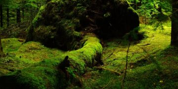 Revolutionizing the Future: Top Green Tech Startups to Keep an Eye On