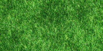 Sustainable Structures: Paving the Way for a Greener Tomorrow