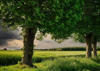 10 Easy Ways to Embrace Sustainable Living: Small Changes, Big Impact