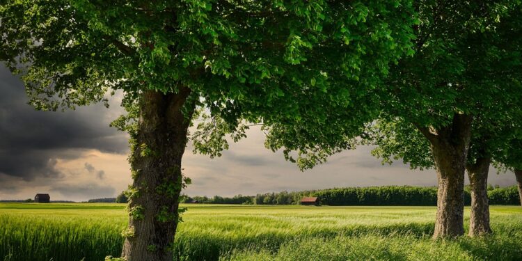 10 Easy Ways to Embrace Sustainable Living: Small Changes, Big Impact
