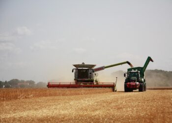 Feeding the Future: The Power of Sustainable Food Choices