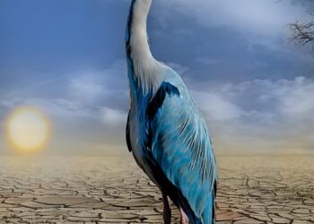 Shaping a Sustainable Future: The Essential Guide to Climate Change Policies