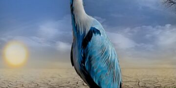 Shaping a Sustainable Future: The Essential Guide to Climate Change Policies