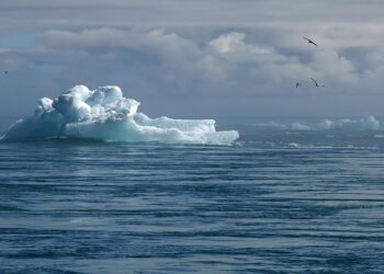 Driving Change: Innovative Climate Policy Initiatives Shaping a Sustainable Future