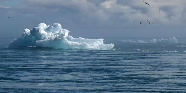 Driving Change: Innovative Climate Policy Initiatives Shaping a Sustainable Future