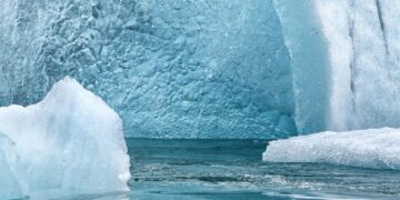 Saving Our Planet: Practical Steps to Combat Global Warming