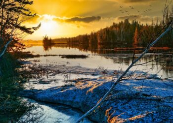 The Silent Enemy: Uncovering the Root Causes of Global Warming