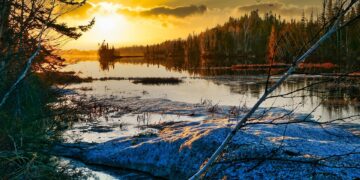 The Silent Enemy: Uncovering the Root Causes of Global Warming