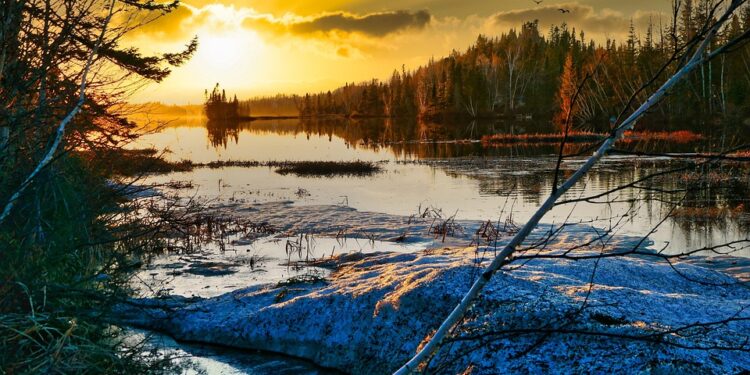 The Silent Enemy: Uncovering the Root Causes of Global Warming