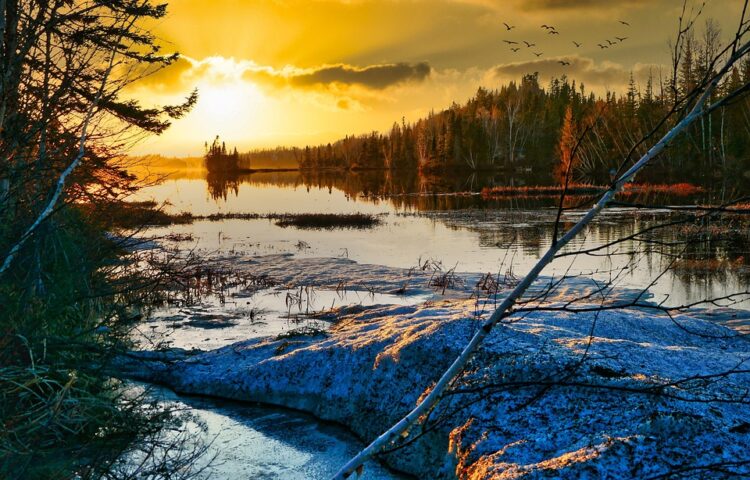 The Silent Enemy: Uncovering the Root Causes of Global Warming