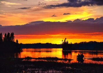 10 Effective Strategies to Combat Global Warming and Save Our Planet