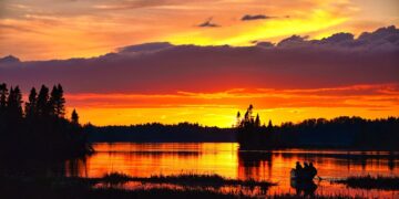 10 Effective Strategies to Combat Global Warming and Save Our Planet