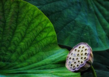 Revolutionizing Tomorrow: Eco-Friendly Innovations to Shape 2025 and Beyond