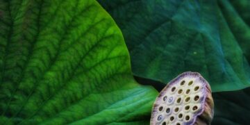 Revolutionizing Tomorrow: Eco-Friendly Innovations to Shape 2025 and Beyond