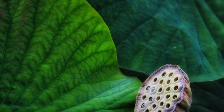 Revolutionizing Tomorrow: Eco-Friendly Innovations to Shape 2025 and Beyond