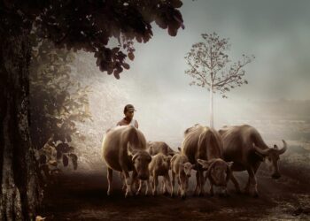 Zero Waste Warriors: A Beginner’s Guide to Embracing a Sustainable Lifestyle