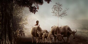 Zero Waste Warriors: A Beginner’s Guide to Embracing a Sustainable Lifestyle