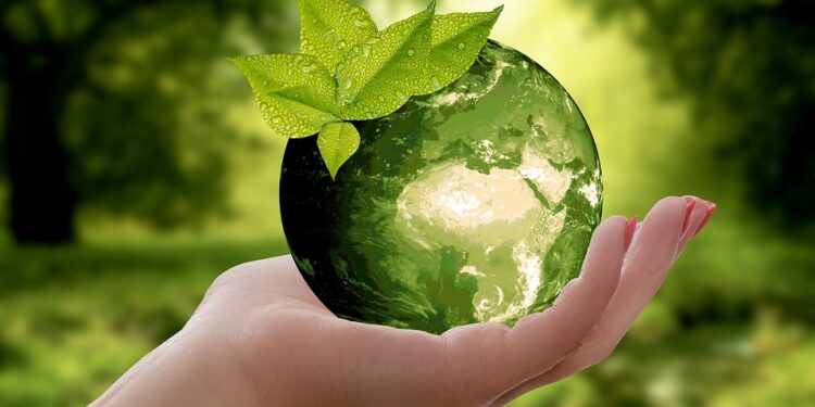 Green is the New Black: Transforming Your Shopping Habits for a Sustainable Future