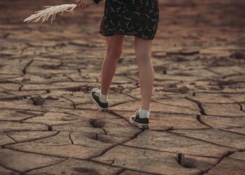 Charting a Sustainable Future: The Evolving Landscape of Global Climate Policy