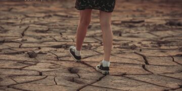 Charting a Sustainable Future: The Evolving Landscape of Global Climate Policy