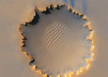 Harvesting Change: The Impact of Climate Change on Agriculture