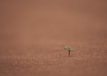 Urgent Steps for a Sustainable Future: The Vital Role of Climate Action Plans