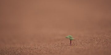 Urgent Steps for a Sustainable Future: The Vital Role of Climate Action Plans