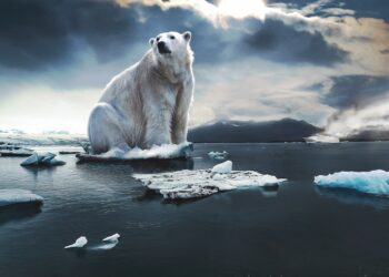 Charting a Sustainable Future: The Vital Importance of Climate Change Policies