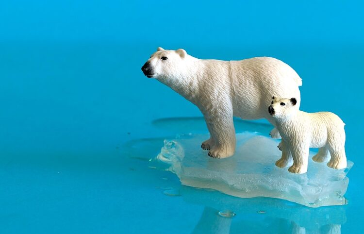 The Earth’s Cry: Unveiling the Shocking Truths of Global Warming for Students