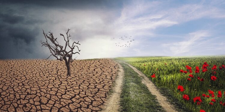 Global Unity: The Road to Sustainable Climate Agreements