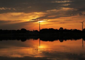 Powering the Future: How Renewable Energy Can Revolutionize Your Home