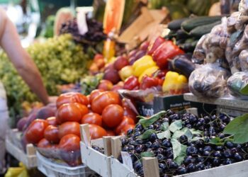 Green Getaways: Top Sustainable Travel Tips for Eco-Conscious Explorers