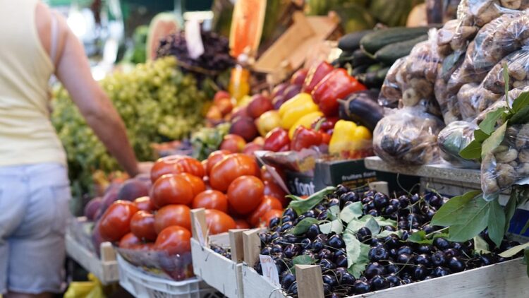 Green Getaways: Top Sustainable Travel Tips for Eco-Conscious Explorers