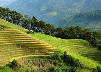 Building a Greener Future: How Smart Homes are Revolutionizing Sustainability