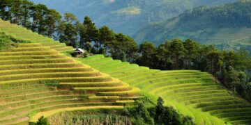 Building a Greener Future: How Smart Homes are Revolutionizing Sustainability