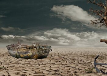 The Silent Extinction: How Global Warming is Driving Wildlife to the Brink