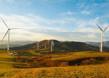 Empowering the Future: Student-Led Renewable Energy Initiatives